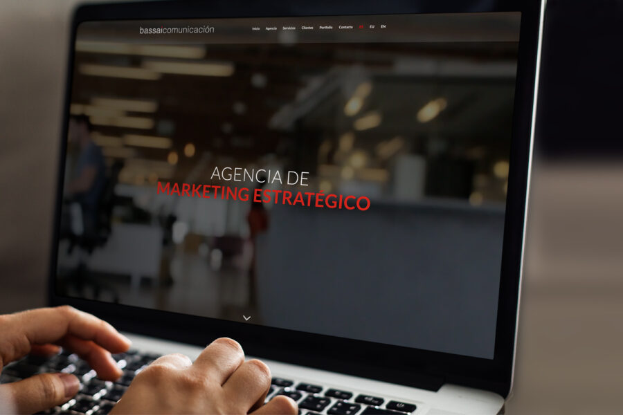 web corporativa bassai