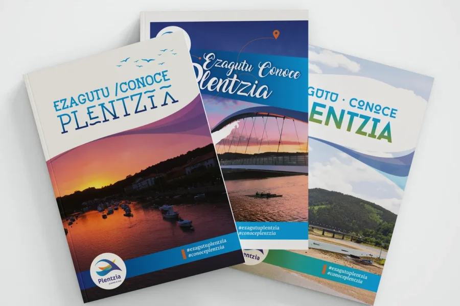 ezagutu plentzia